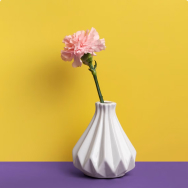 Flower vases